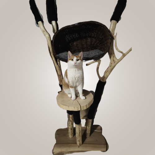 Projekt bez nazwy (39)